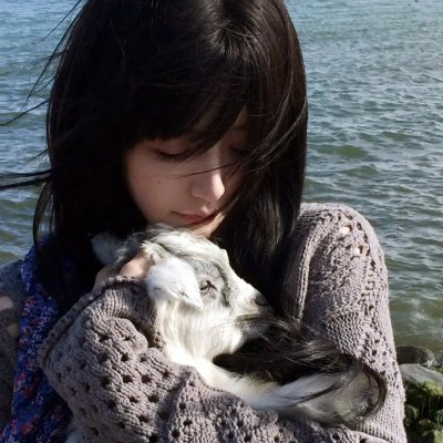 风云之决战光明顶